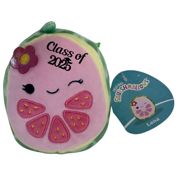 Squishmallows Other - Customized 5" Squishmallows Mini Plush with "Class of 2025" - Lena